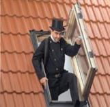 חלון גג ציר דלת