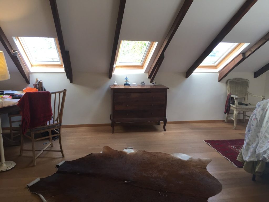 חלונות גג VELUX